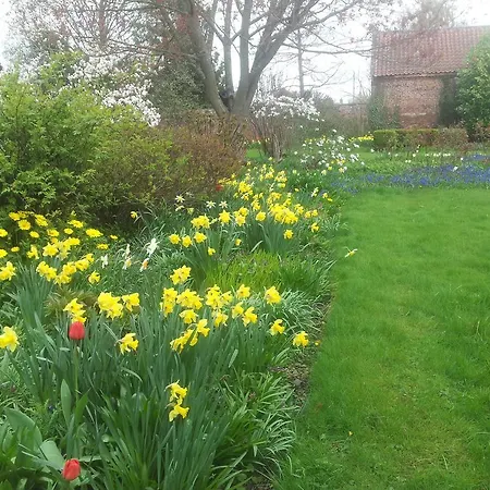 The Bed & Breakfast Scorton (North Yorkshire)