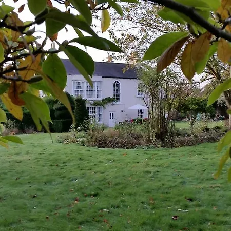 The Bed & Breakfast *